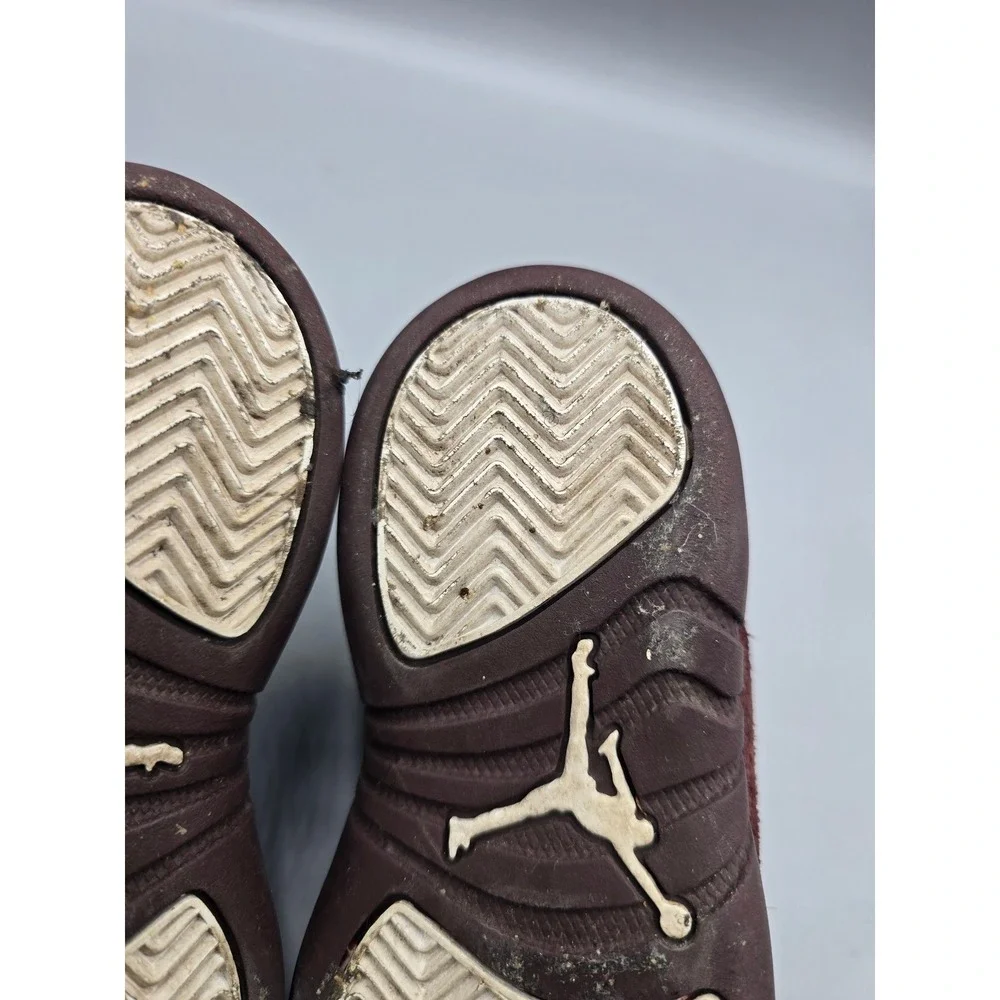 Jordan 12 retro